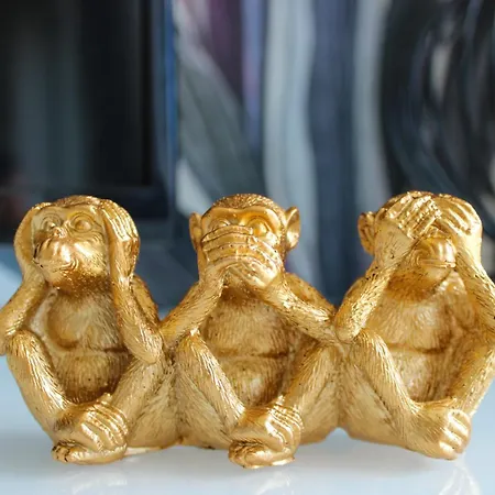 Apartment Urban Jungle Terrasse Clim Parking Albi