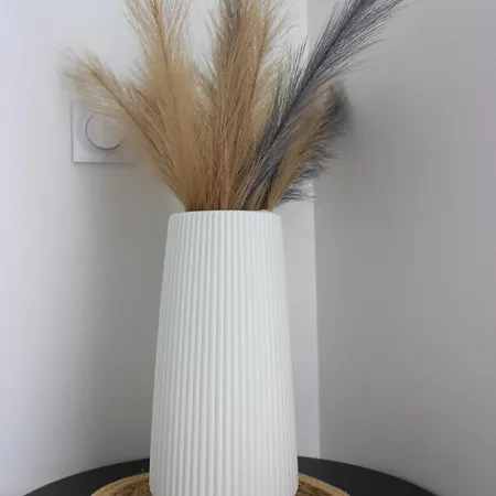 Urban Jungle Terrasse Clim Parking