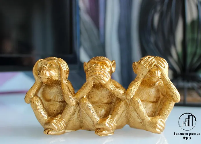 Apartment Urban Jungle Terrasse Clim Parking Albi